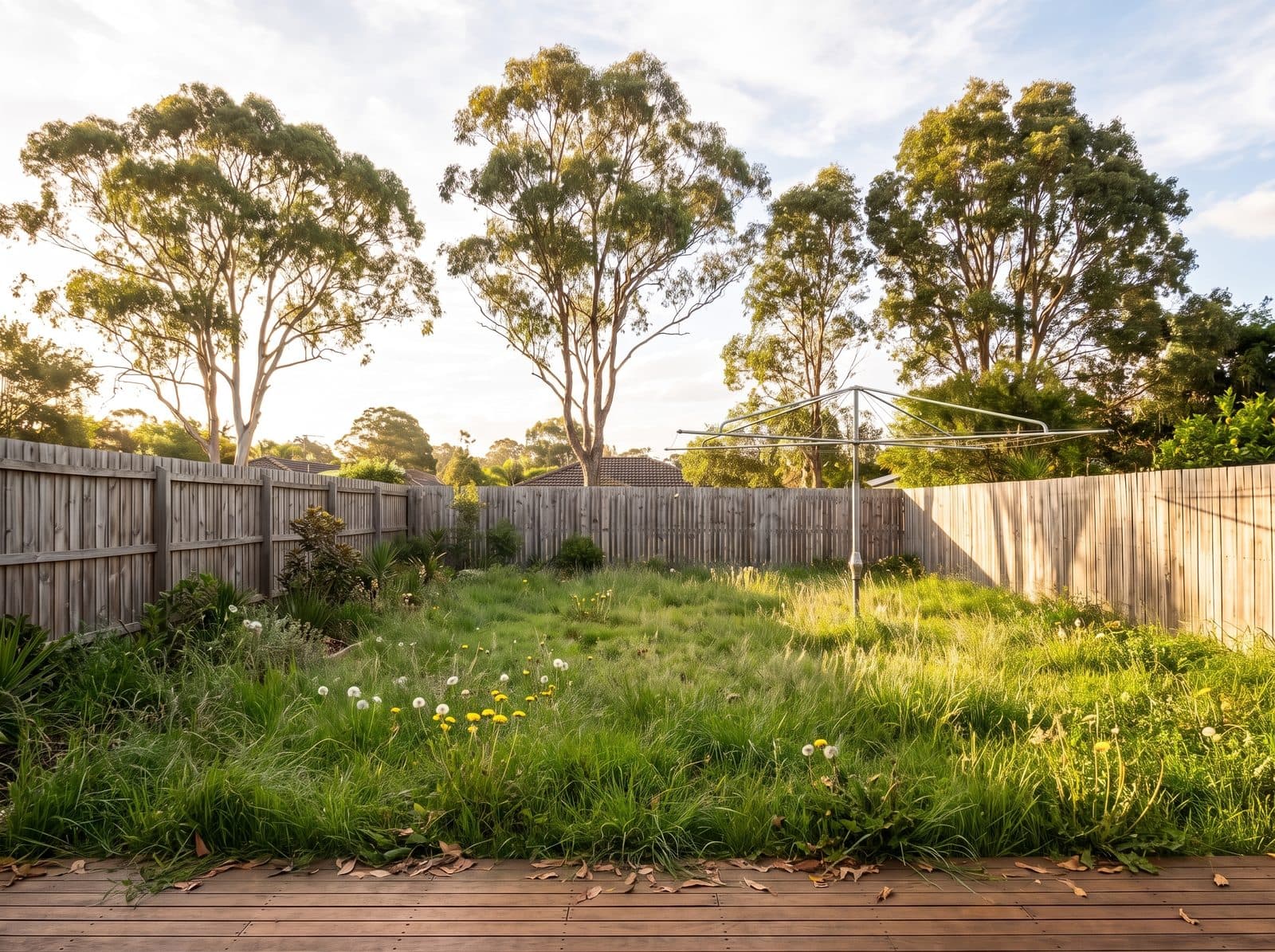 An overgrown Central Coast backyard before a Mingo Mows tidy-up